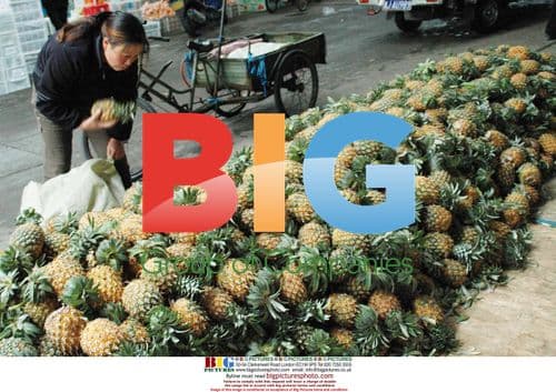 Lashings of pineapples unable to be sold in Wenling market