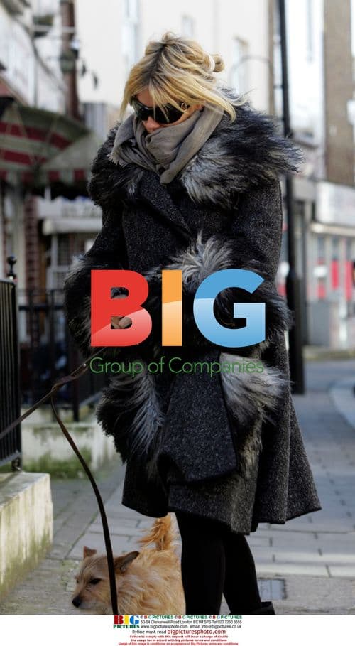 Sienna Miller walks dogs in London