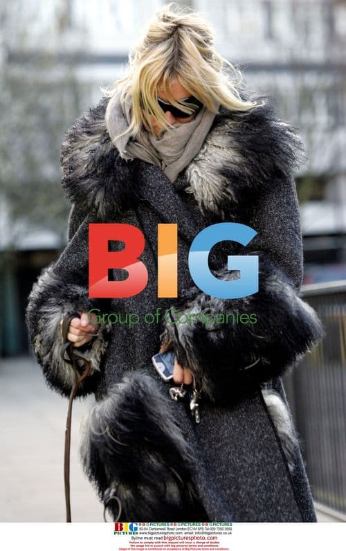 Sienna Miller Walks Dogs in London