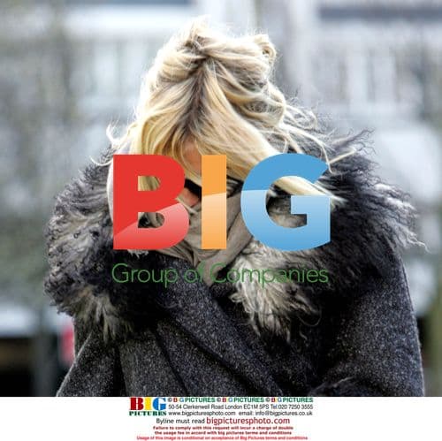 Sienna Miller Walks Dogs in London