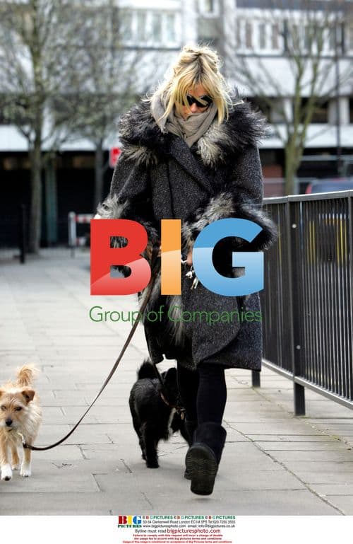 Sienna Miller walks dogs in London