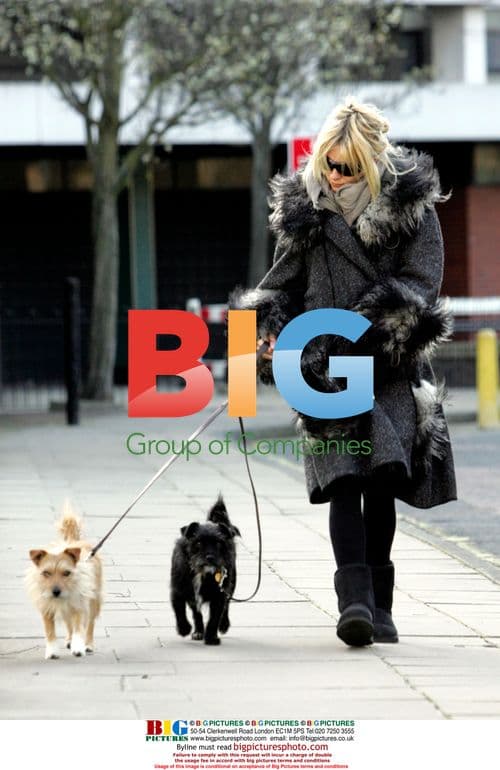 Sienna Miller Walks Dogs in London