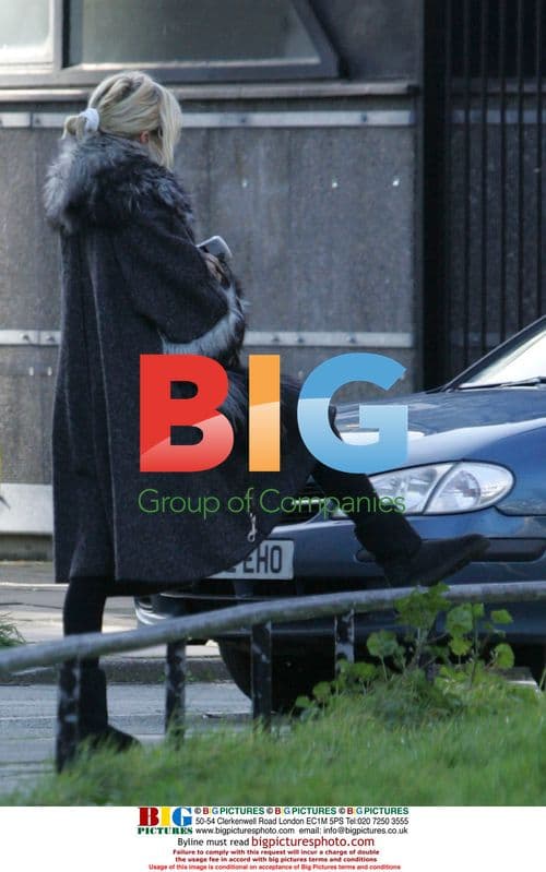 Sienna Miller Walks Dogs in London