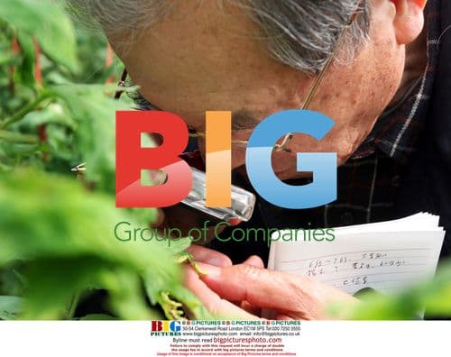 Onogi Seifu Introducing Agricultural Techniques