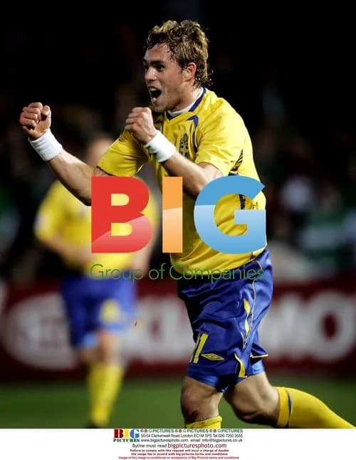 Sweden vs Northern Ireland Soccer Match