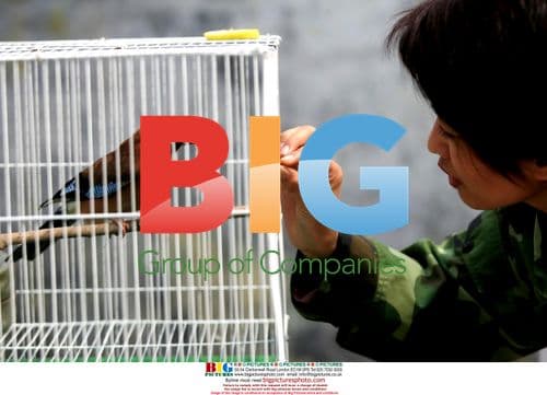 3-Year-Old Jay Learning to Speak in Chinese Zoo