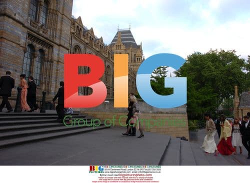 The Blush Ball at Natural History Museum