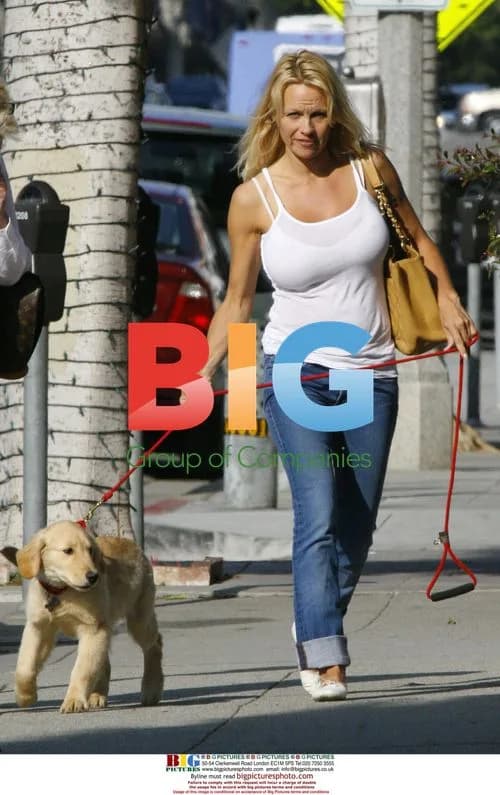 Pamela Anderson Walking Dog in Santa Monica