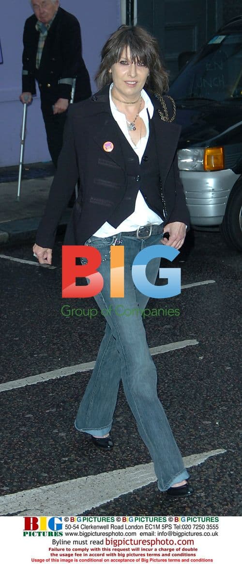 Chrissie Hynde at "The Future Is Unwritten" Premiere