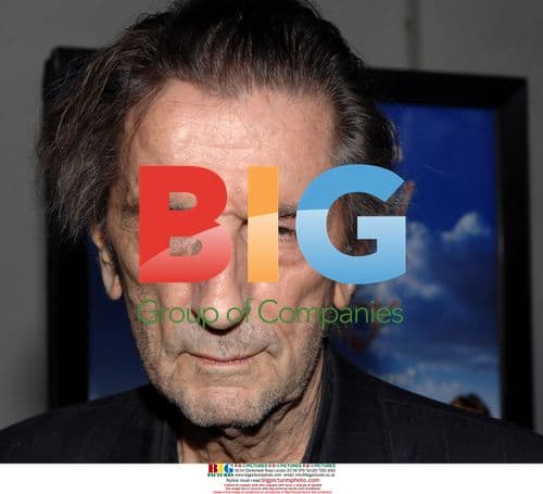 Harry Dean Stanton at "The Wendell Baker Story" Premiere