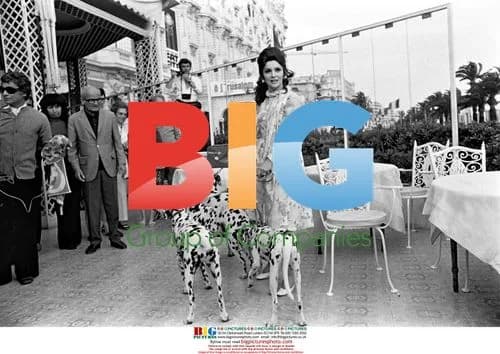 Gina Lollobrigida at Cannes Festival in 1972