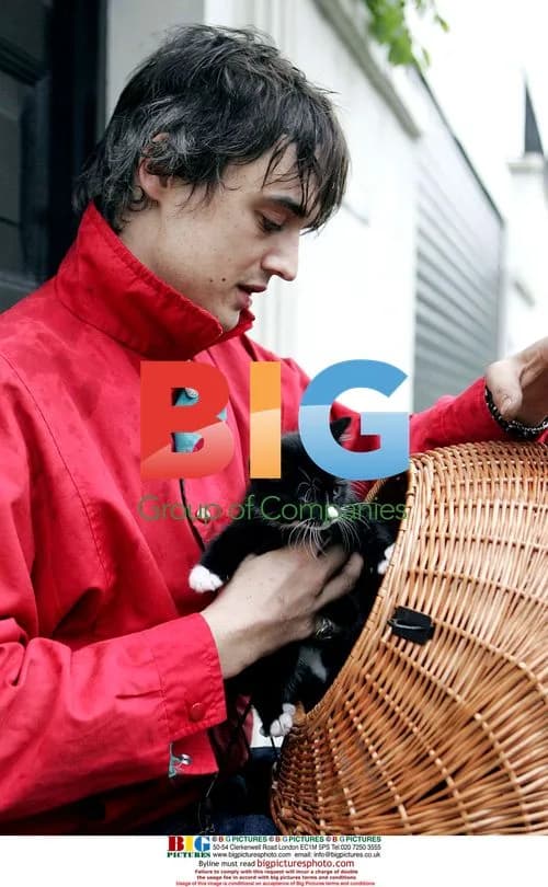 Pete Doherty Leaves Kate Moss's Home with Kittens