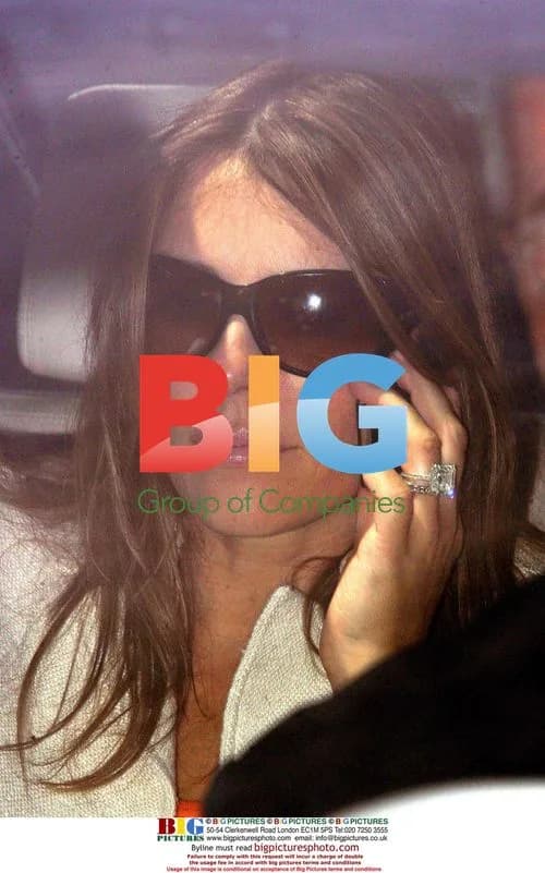 Elizabeth Hurley arrives at Nice airport