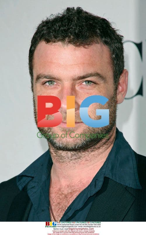 Liev Schreiber at 2007 Tony Awards Nominees Reception
