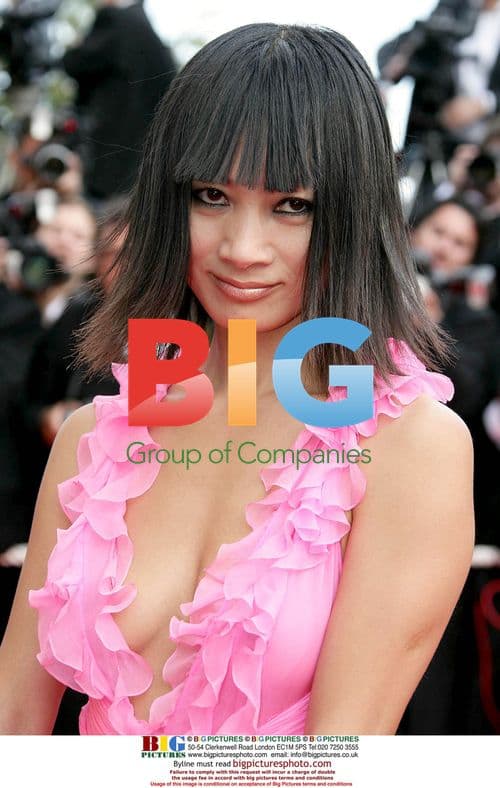 Bai Ling at Cannes Film Festival Premiere