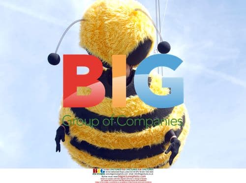 Jerry Seinfeld at Cannes for "Bee Movie"