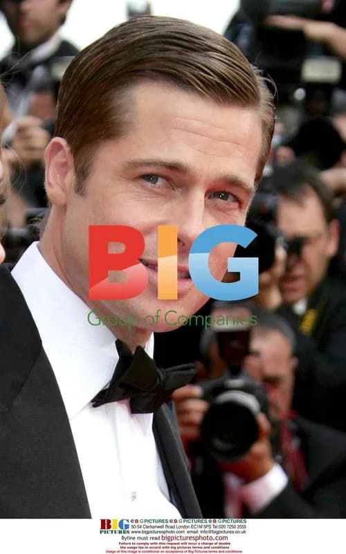 Brad Pitt at Cannes Film Festival