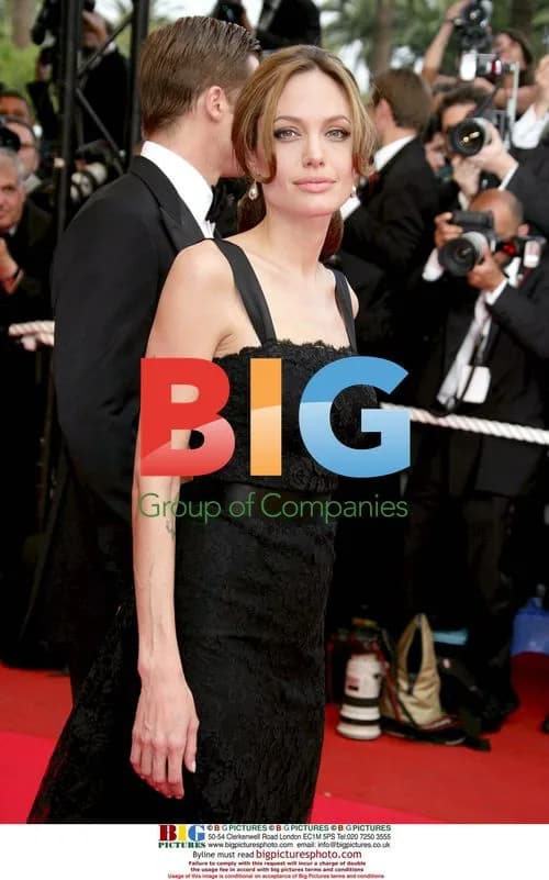 Brad Pitt and Angelina Jolie at Cannes Film Festival