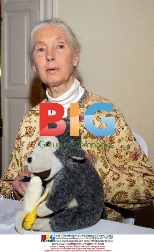 Jane Goodall Inaugurates Institute Delegation in Madrid