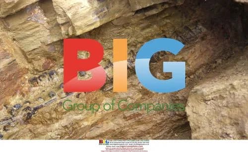 Fossil of Bienotherium found in China