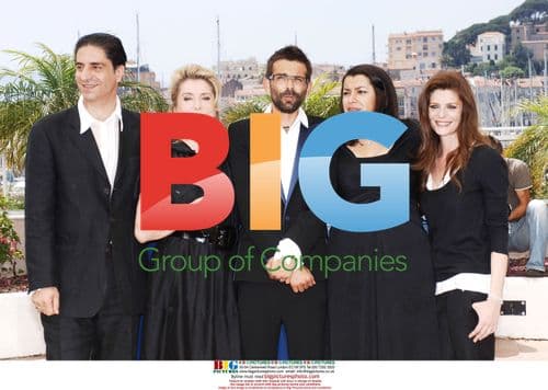 Persepolis Photocall at 60th Cannes Film Festival