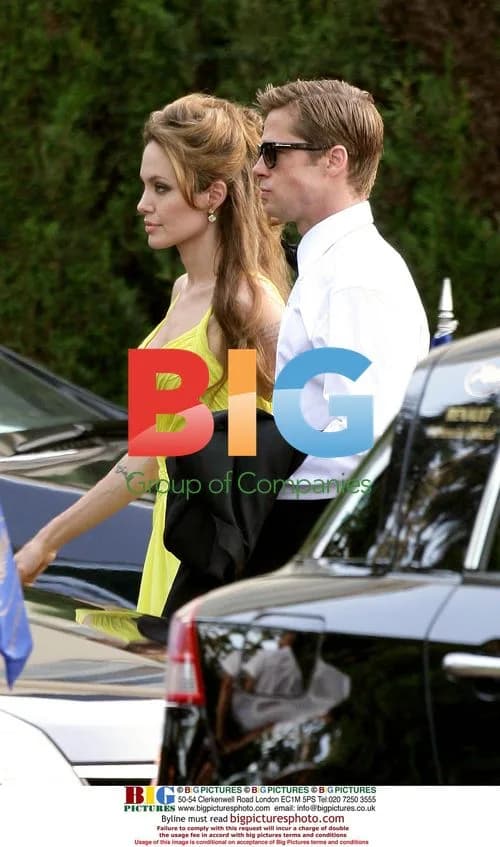 Angelina Jolie and Brad Pitt at Cannes Film Festival