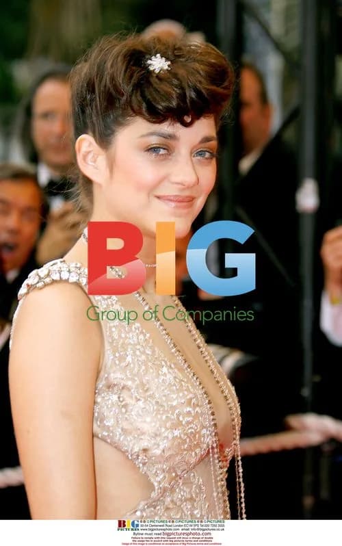 Marion Cotillard at Cannes Film Festival