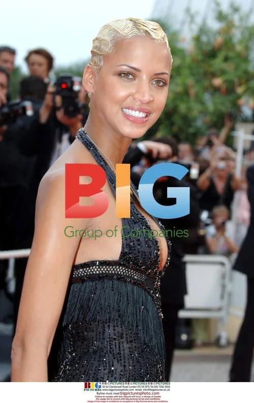 Noemie Lenoir at 60th Cannes Film Festival