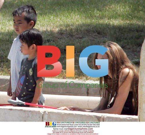 Angelina Jolie and Kids Visit Marineland