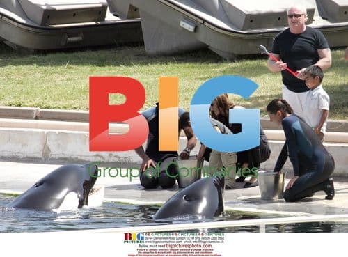 Angelina Jolie and Kids at Marineland