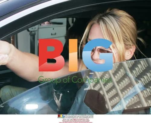 Nicollette Sheridan Shopping on Robertson Blvd