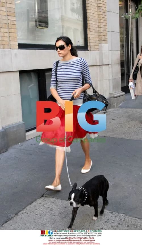 Famke Janssen Walking Boston Terrier