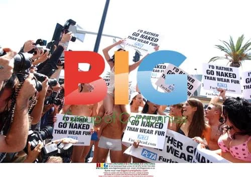 Janice Dickinson and Models Protest Fur