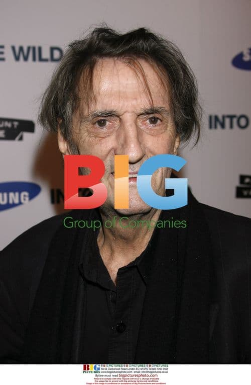 Harry Dean Stanton at "Into the Wild" Premiere