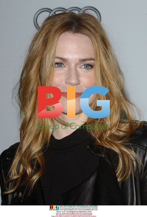 Marie-Josee Croze at "The Diving Bell and The Butterfly" Premiere