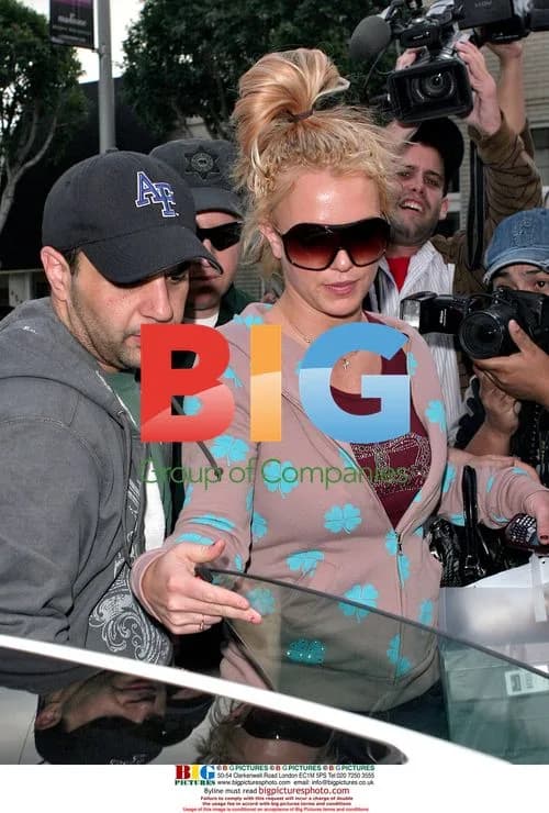 Britney Spears Shopping in LA