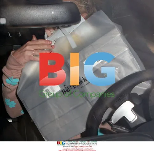 Britney Spears Shopping in LA