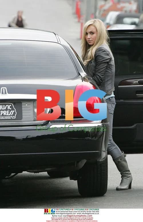 Hayden Panettiere Returns Home from Studio with Bags