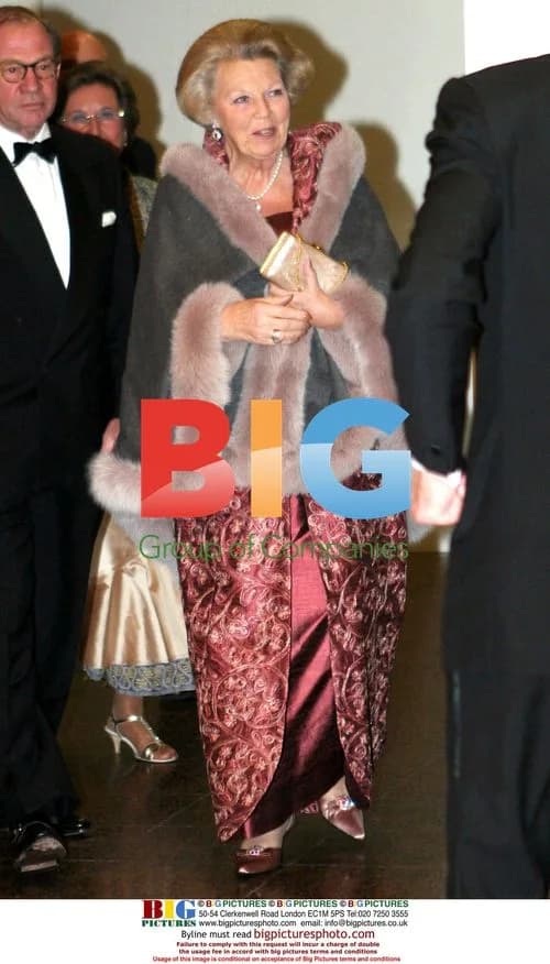 Queen Beatrix attends Ballet Gala in Amsterdam