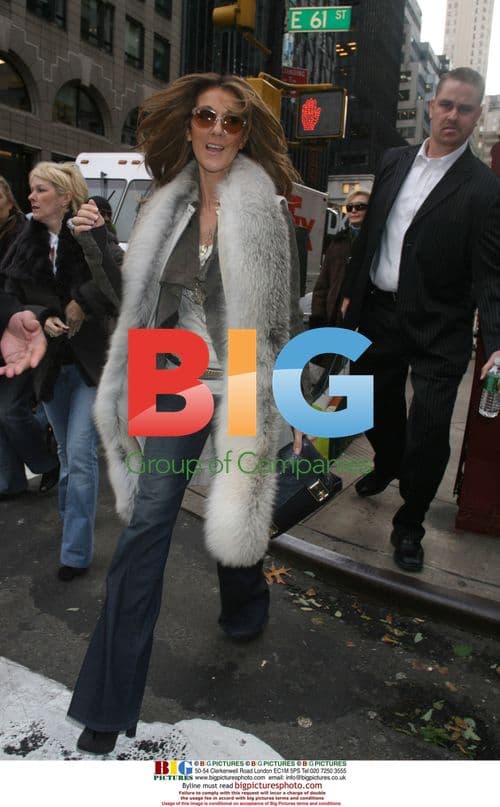 Celine Dion Shopping in NYC