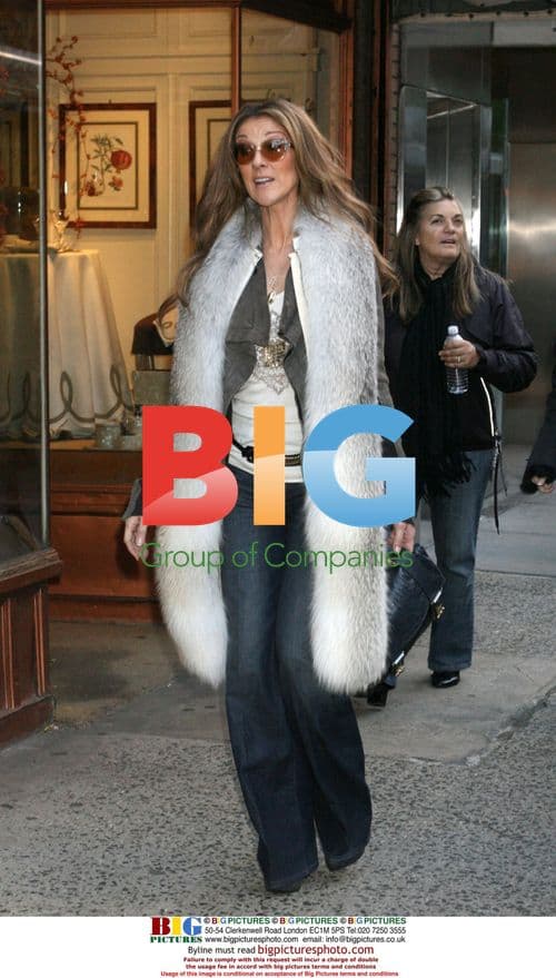 Singer Celine Dion Shopping in NYC