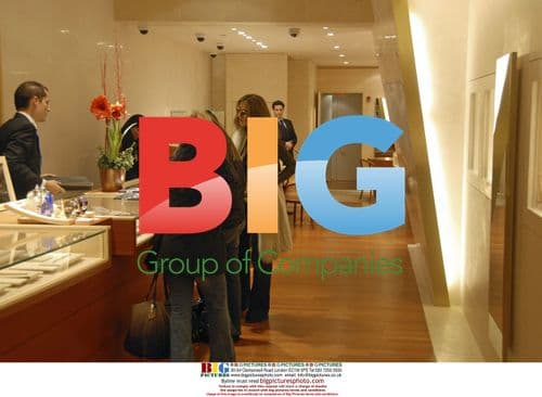 Celine Dion Shopping on Madison Avenue