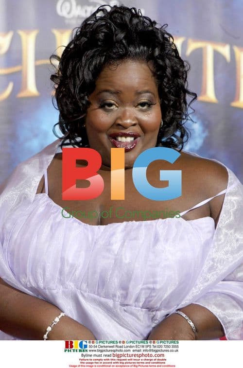 Enchanted Premiere Interviews