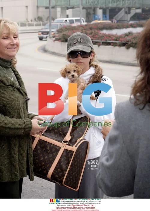 Ashley Tisdale at LAX with Mom and Dog