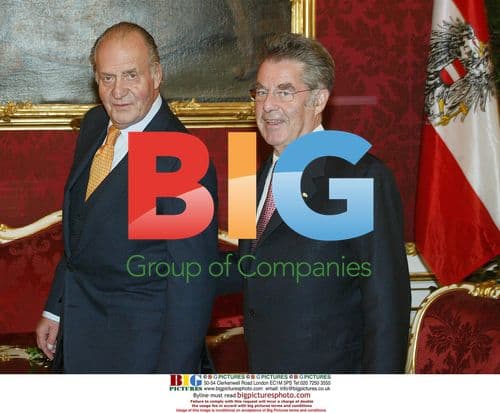 King Juan Carlos meets Austrian President