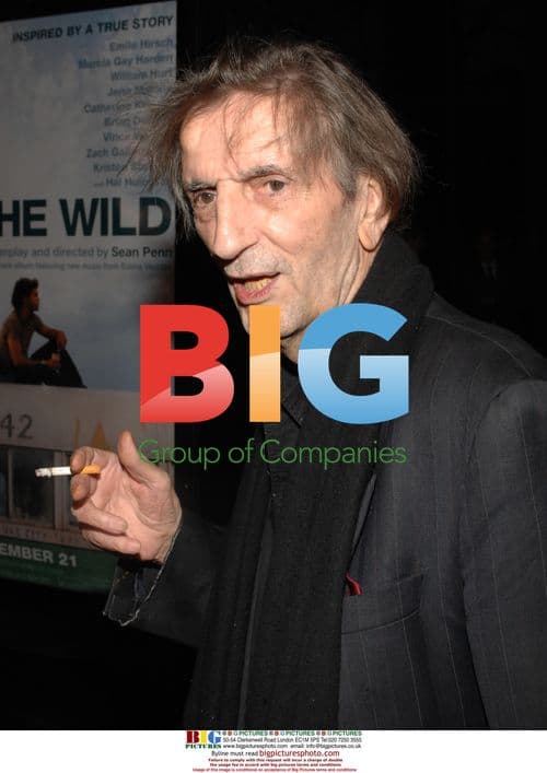 Harry Dean Stanton at 'Into the Wild' premiere