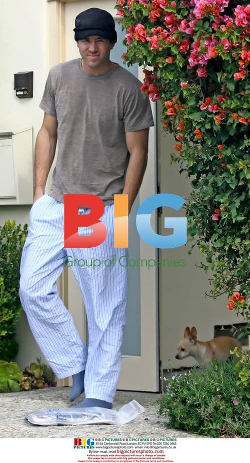 Ryan Reynolds Walks Chihuahua