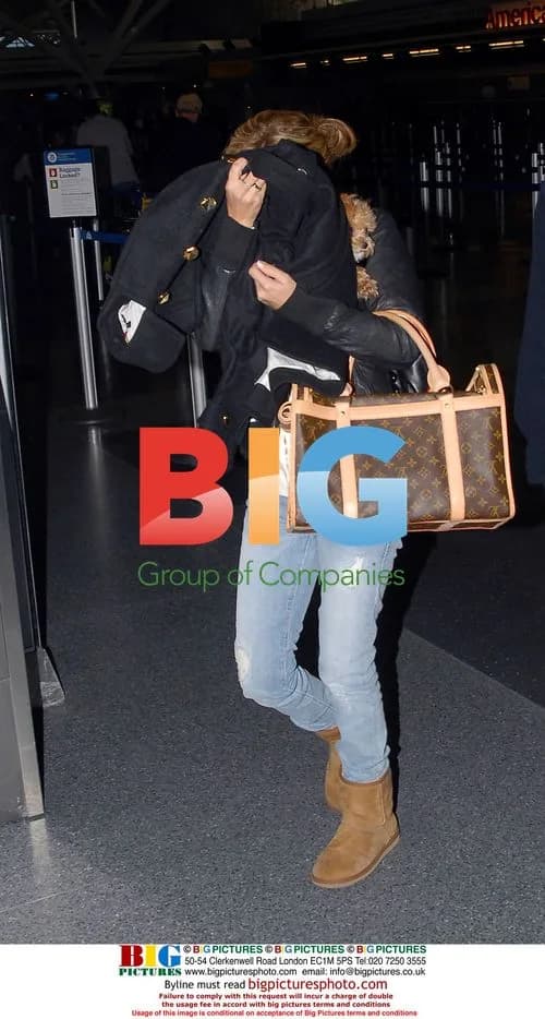 Ashley Tisdale Carries Dog Through JFK Airport