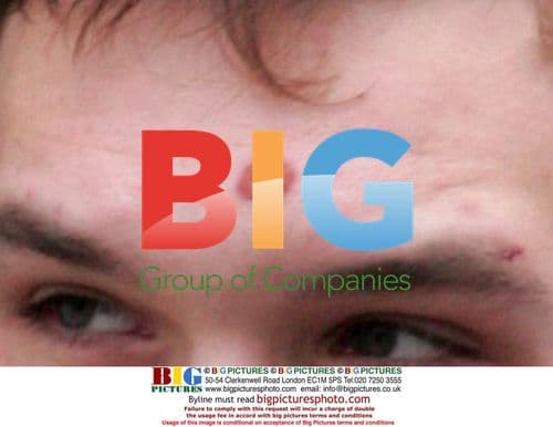 Samuel Preston Moves Tree