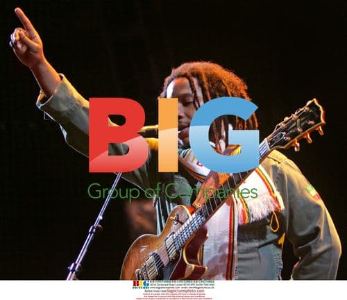 Stephen Marley Performs in Concert